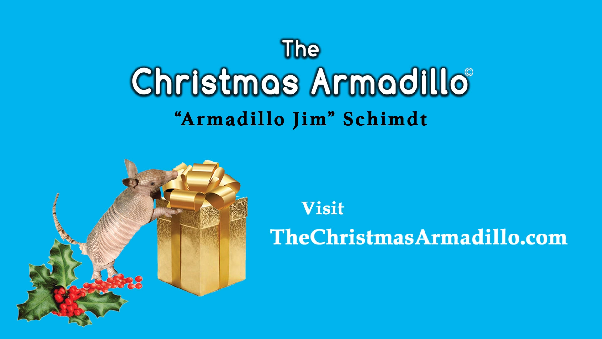 Christmas Armadillo Book Trailer